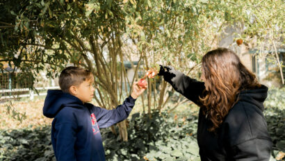 Student learning about pomegranates.