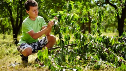 Camper collecting leaves.