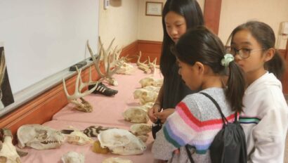 Campers looking at animal skulls.