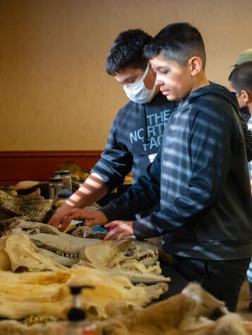 Boys touching skulls.